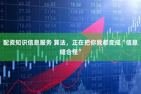 配资知识信息服务 算法，正在把你我都变成“信息缝合怪”